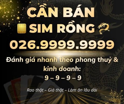 Sim số đẹp Vip, Khẳng định thương hiệu Cá Nhân - Doanh Nghiệp
