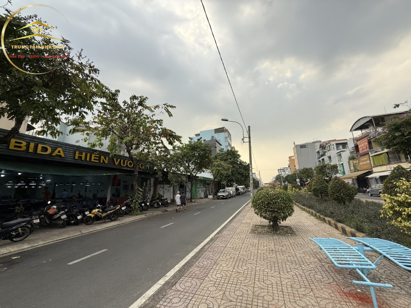 hienvuong (2)