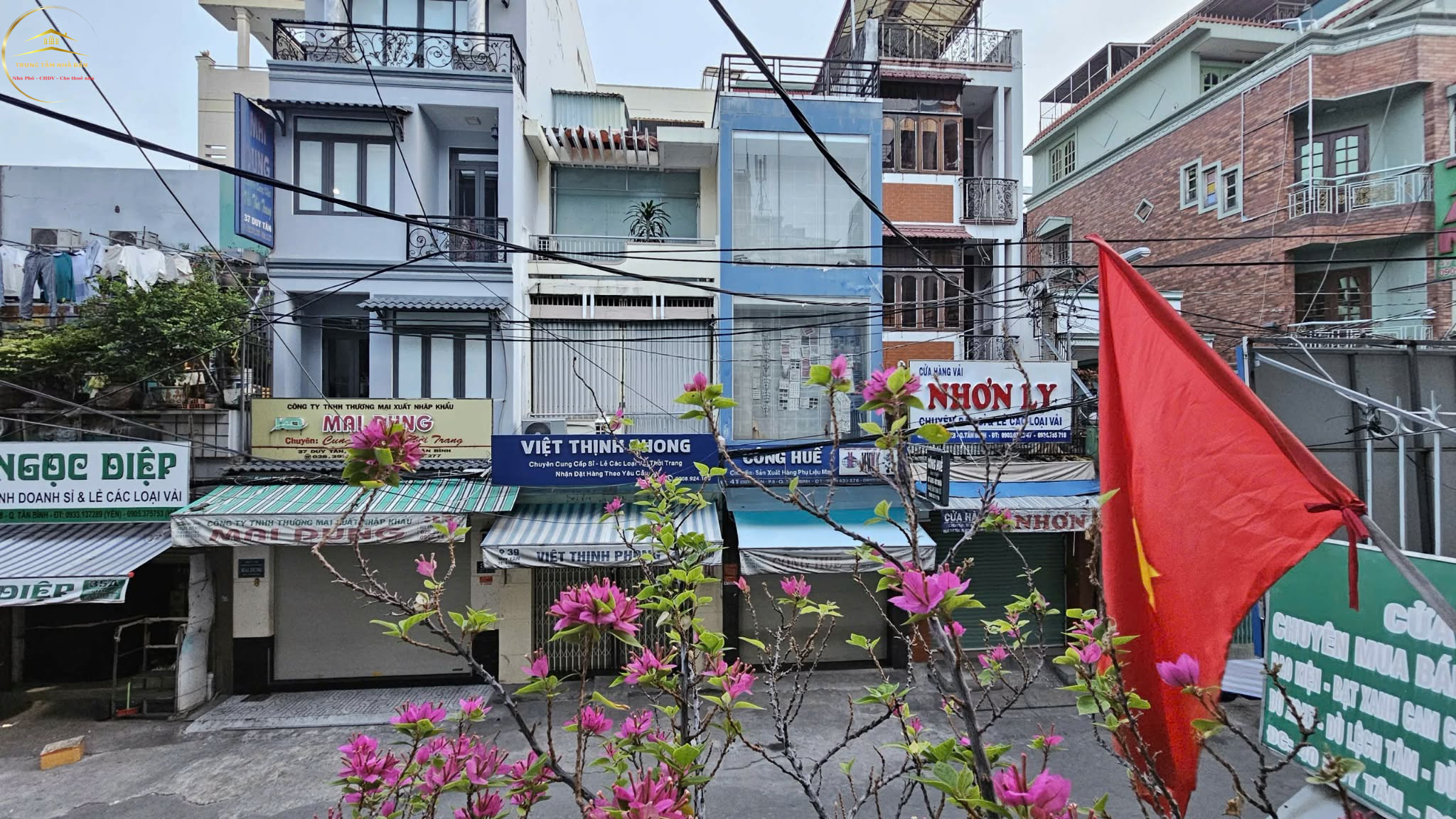 canhotanbinh (3)