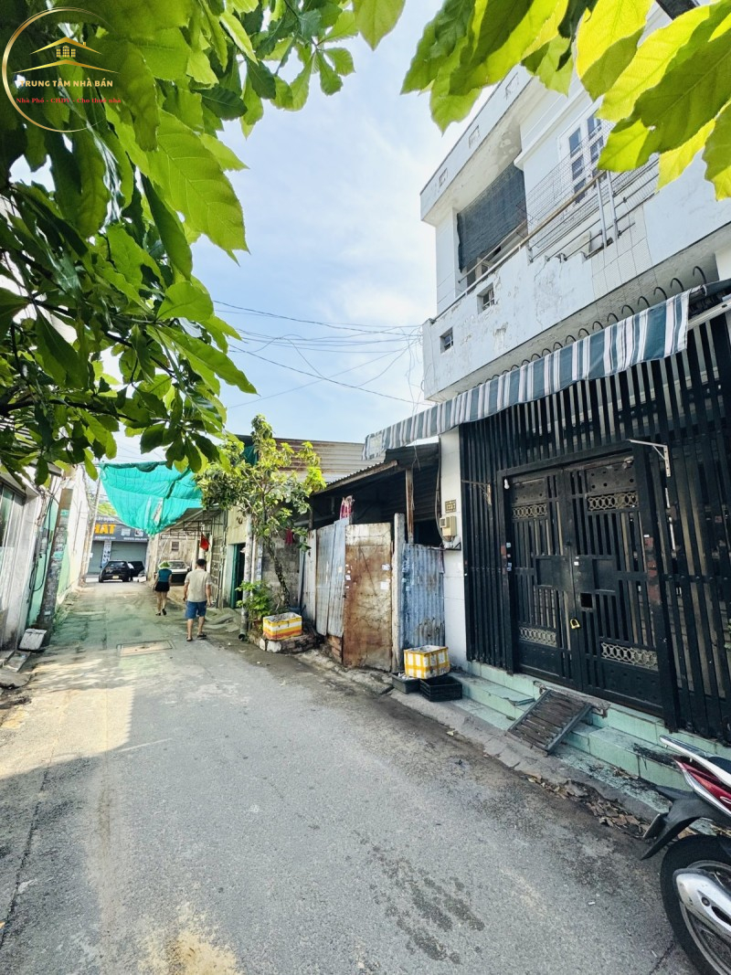 goxoai (1)