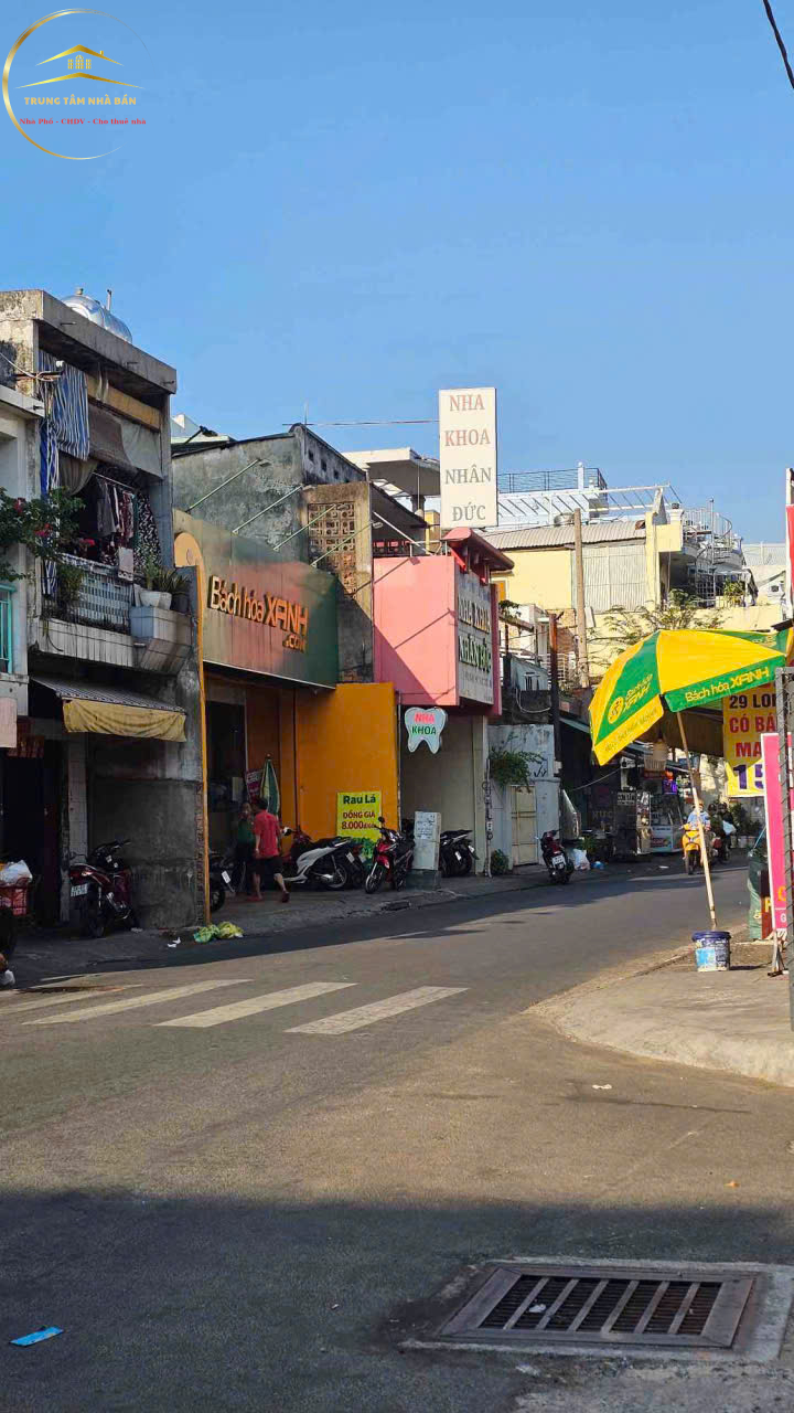 trinhdinhtrong,tanphu (4)
