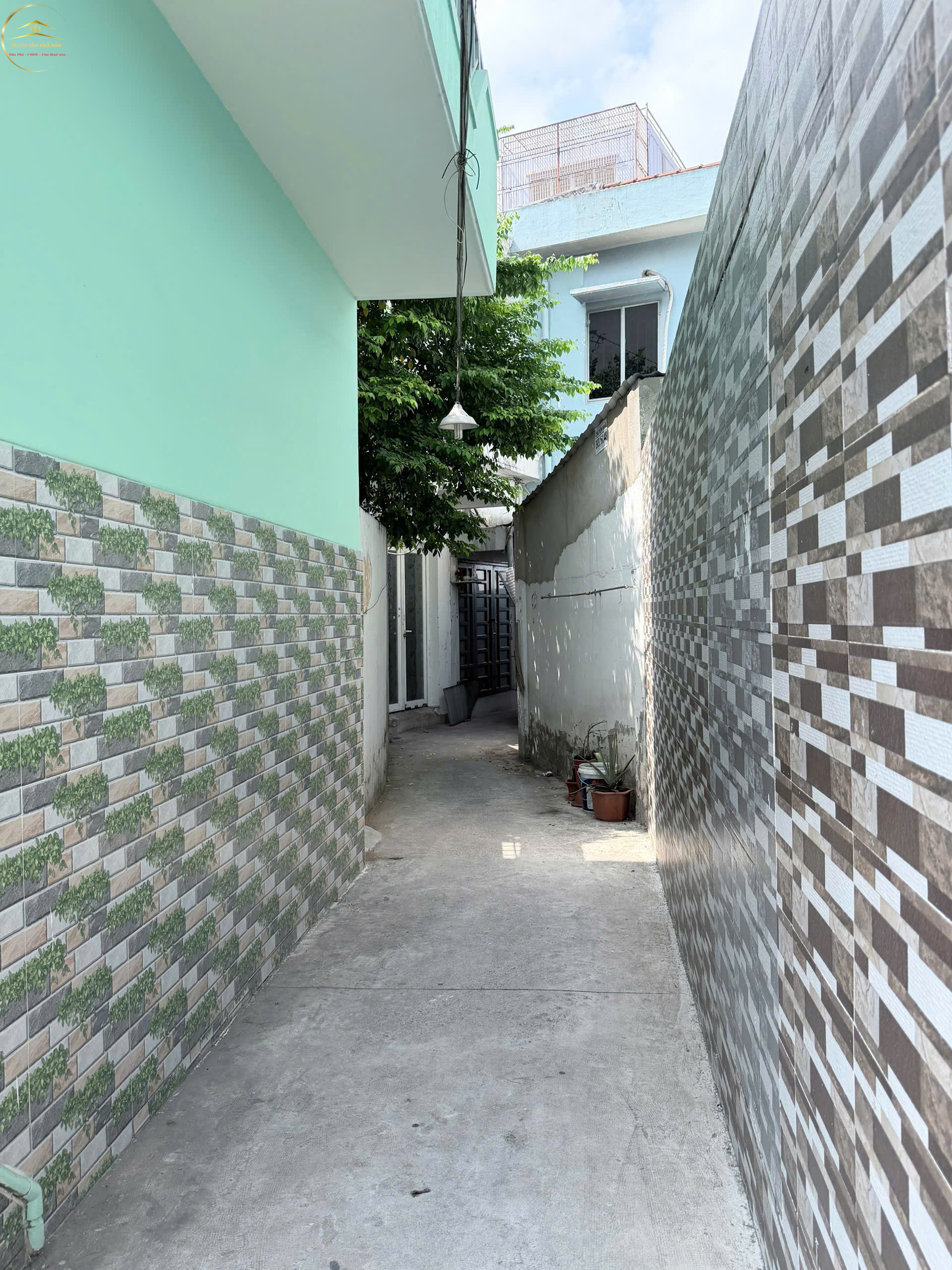 letrongtan (3)