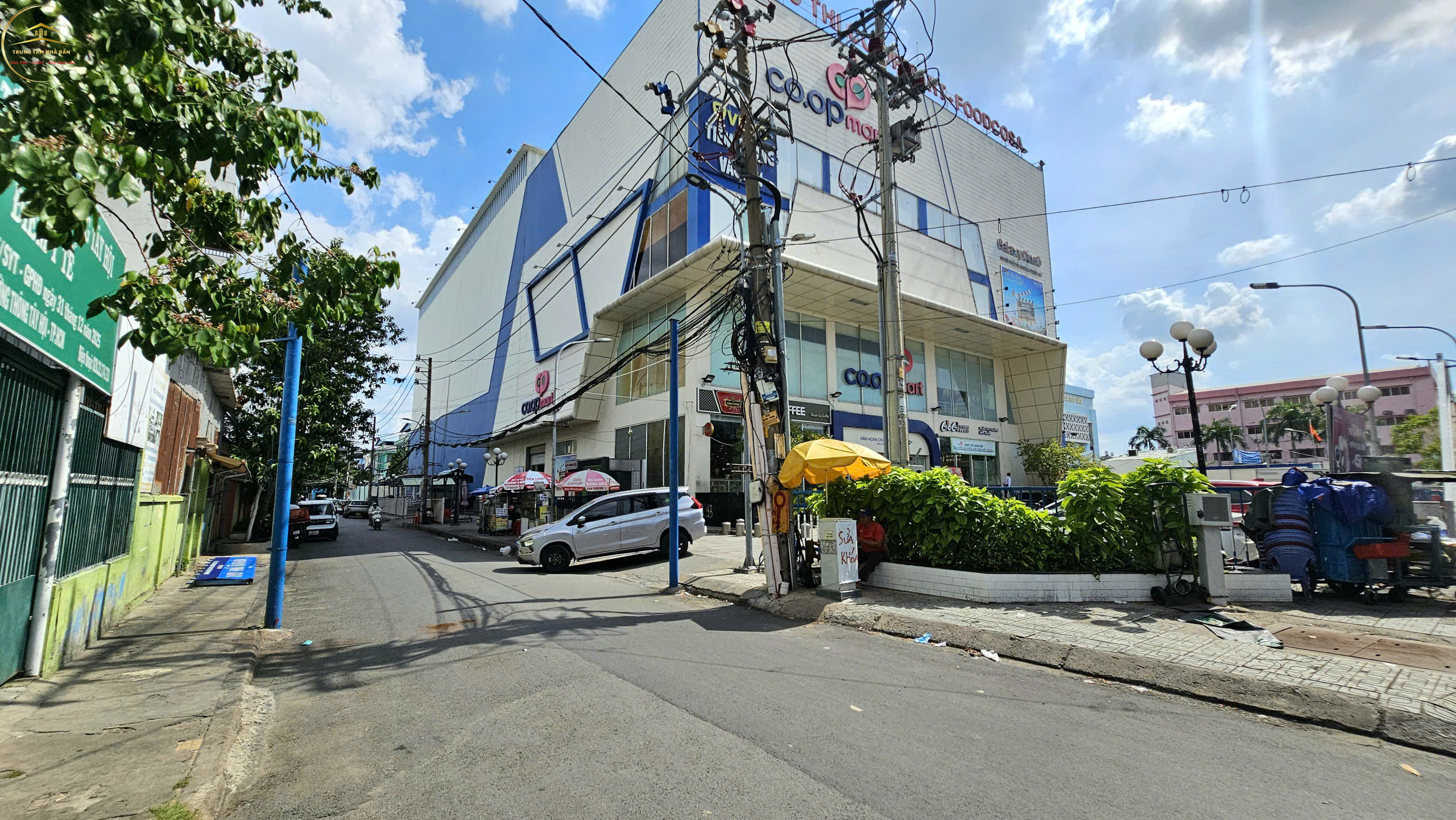quangtrung (19)