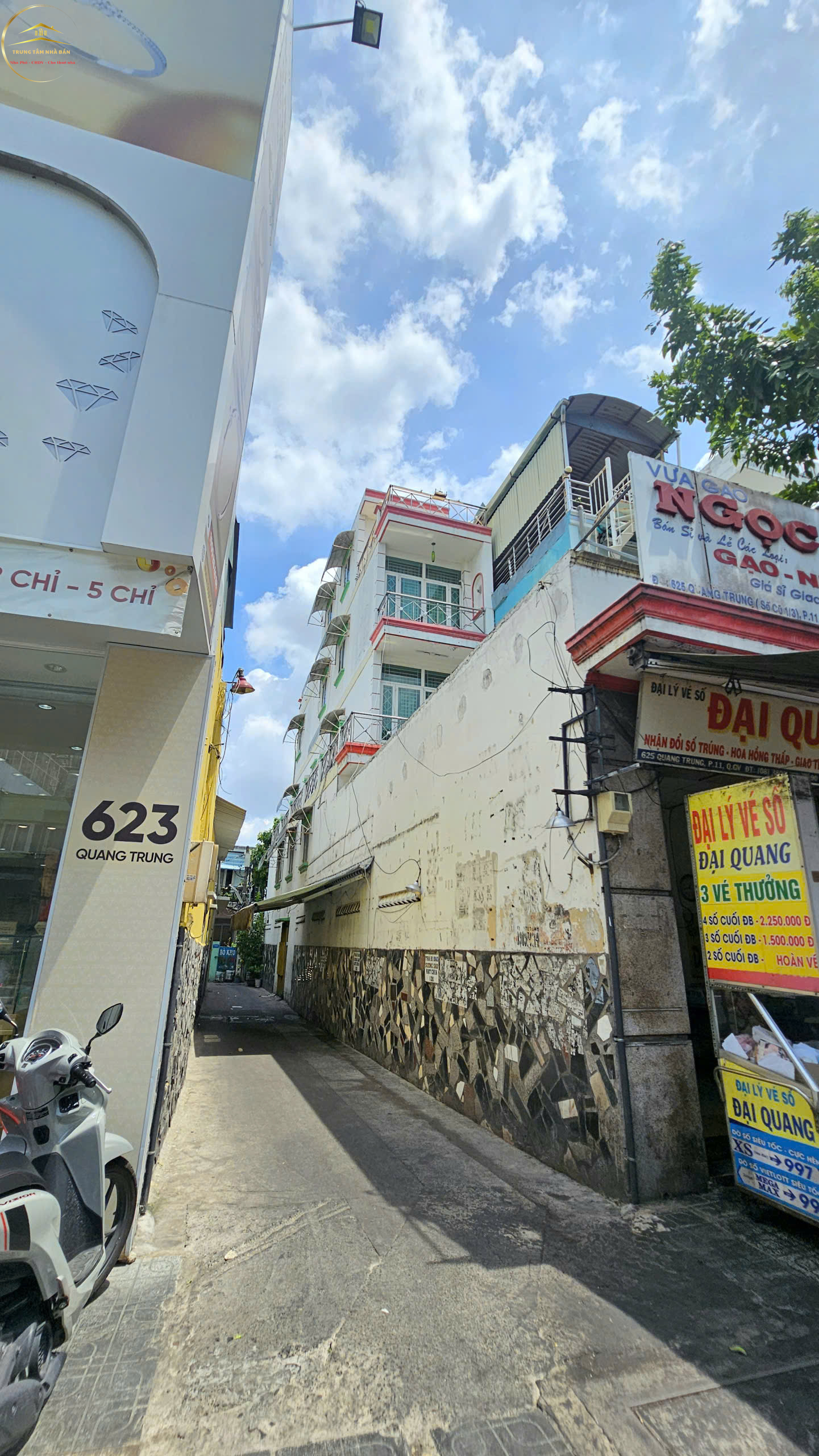 quangtrung (23)
