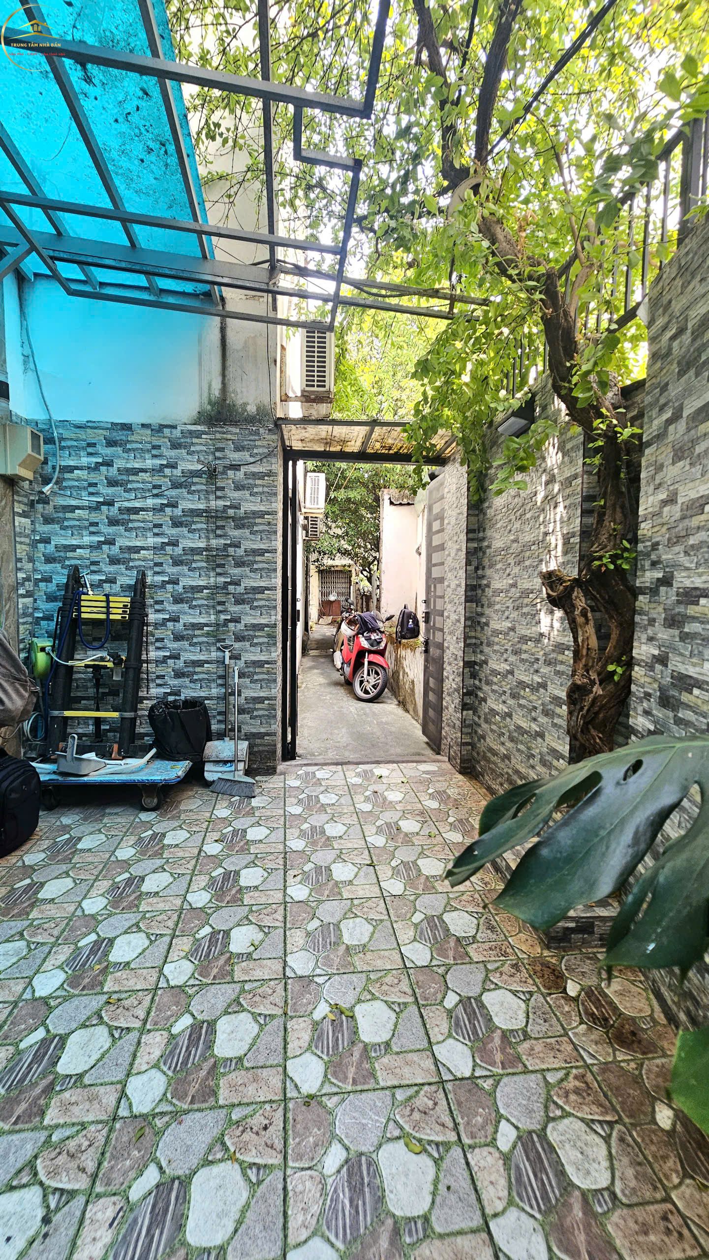 quangtrung (29)