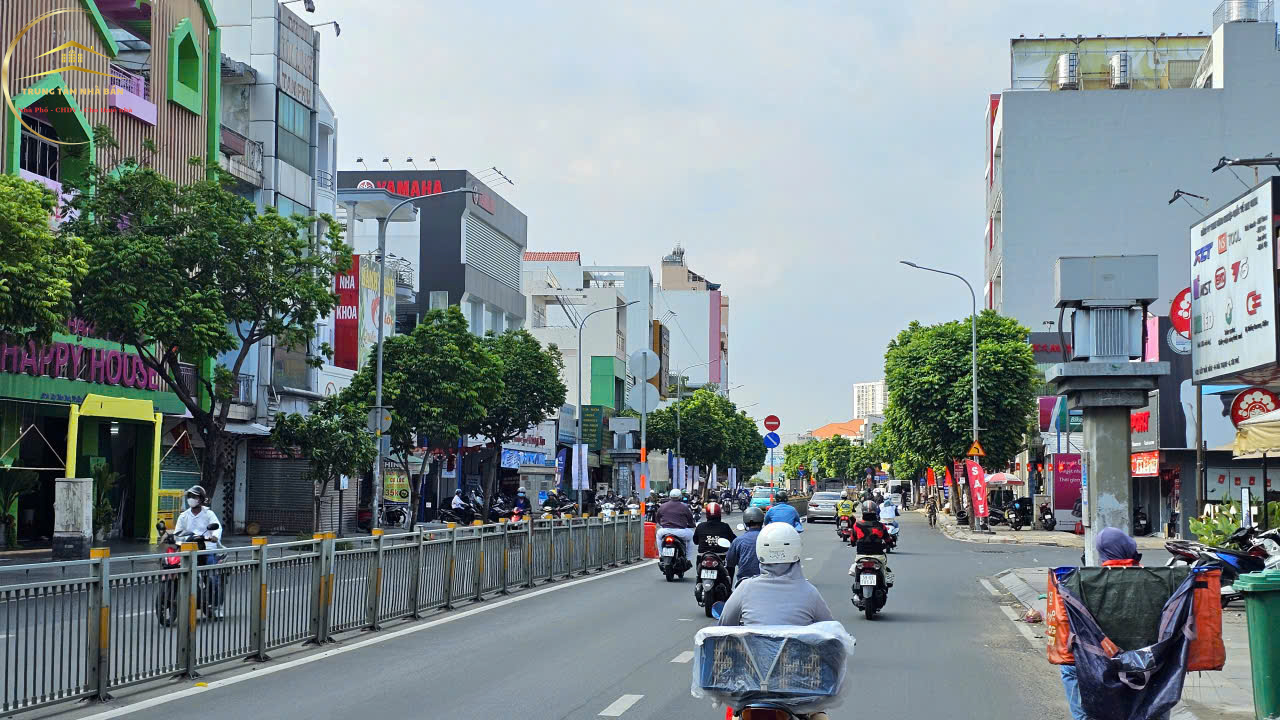 trinhdinhtrong (1)