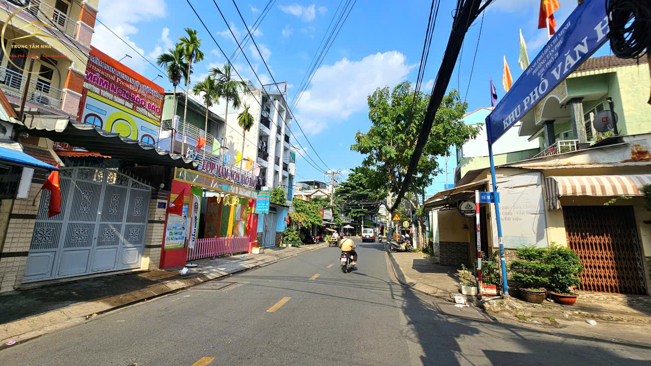 trinhdinhtrong (10)