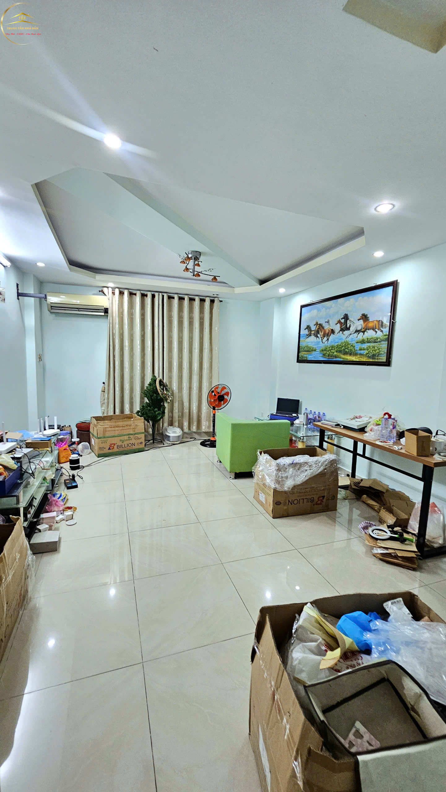 trinhdinhtrong (18)