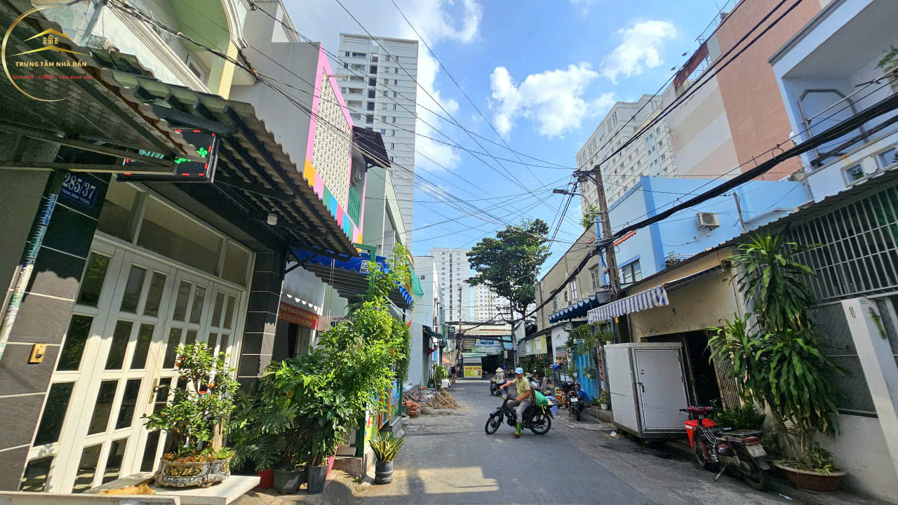 trinhdinhtrong (7)