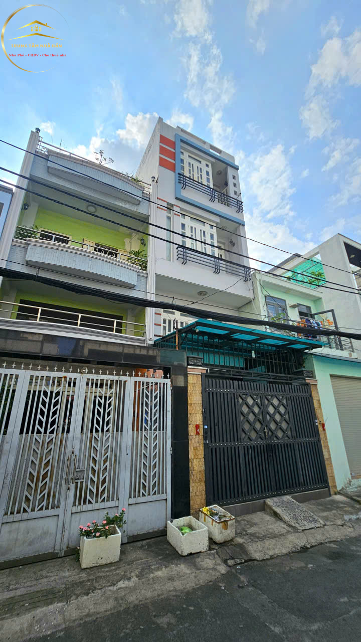 trinhdinhtrong (9)