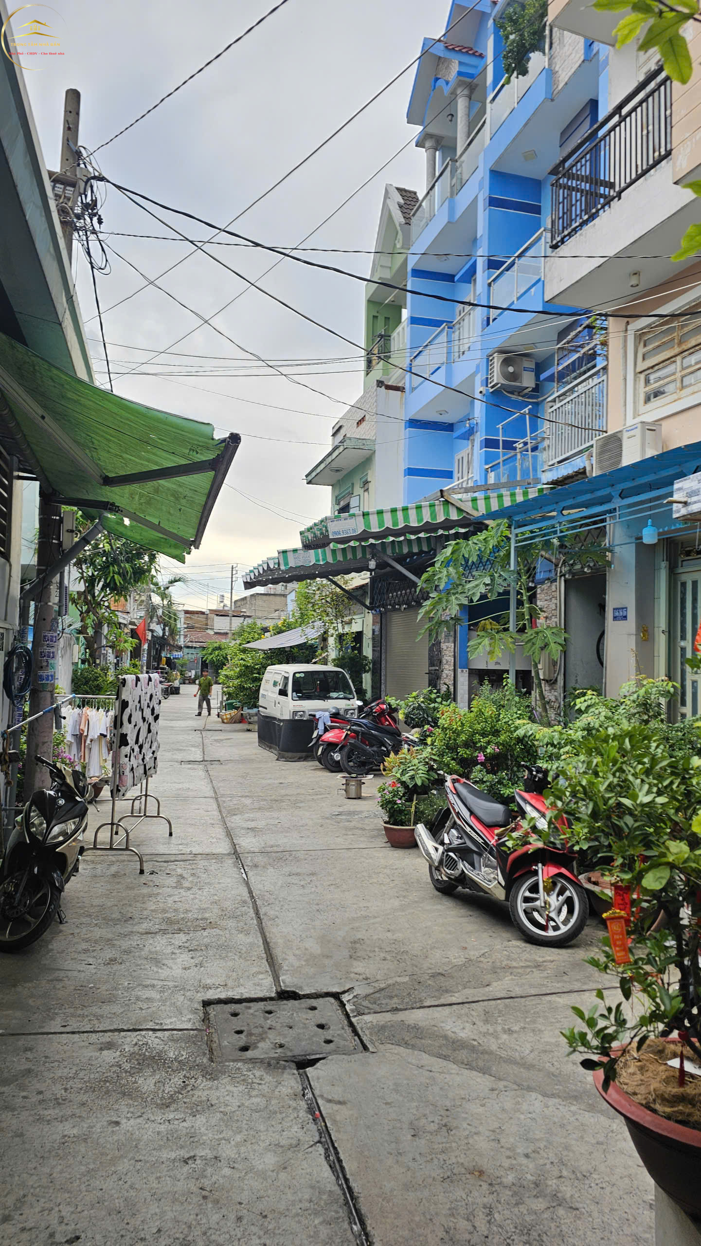 chiến lược, bình tân (2)