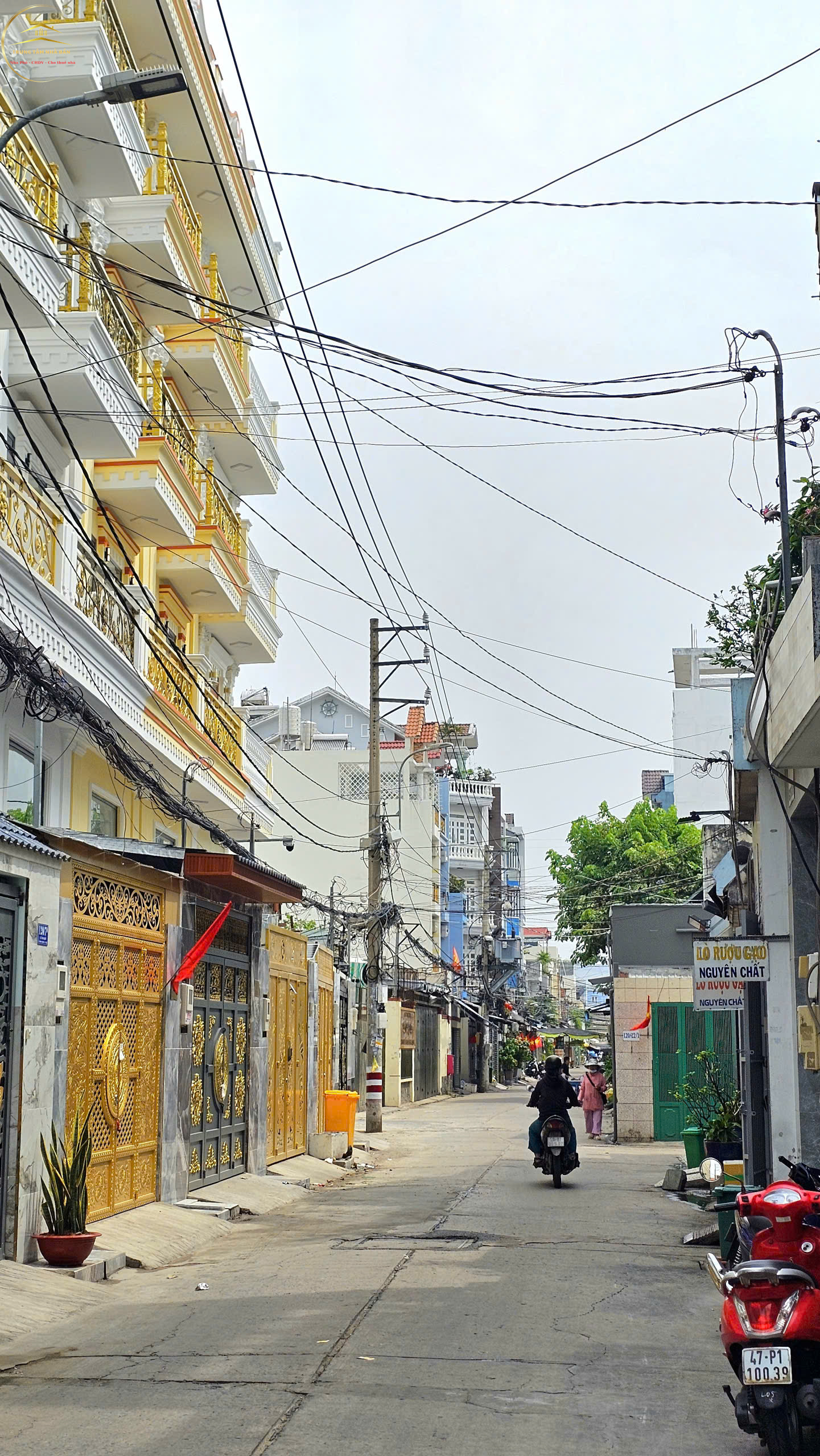lê văn quới, bình tân (23)