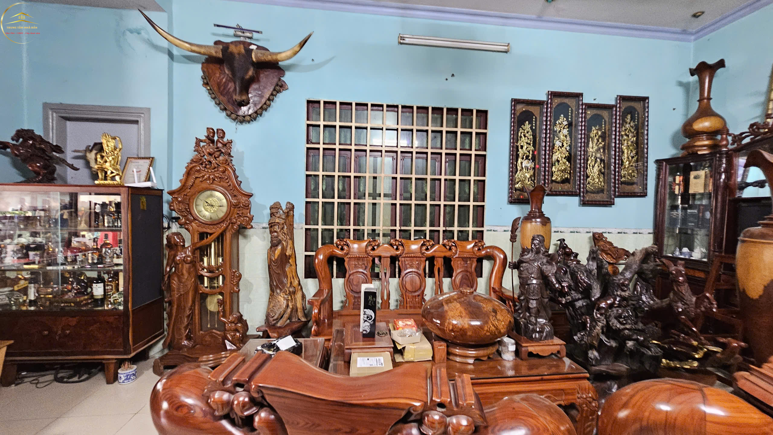 trung chánh, hốc môn (13)
