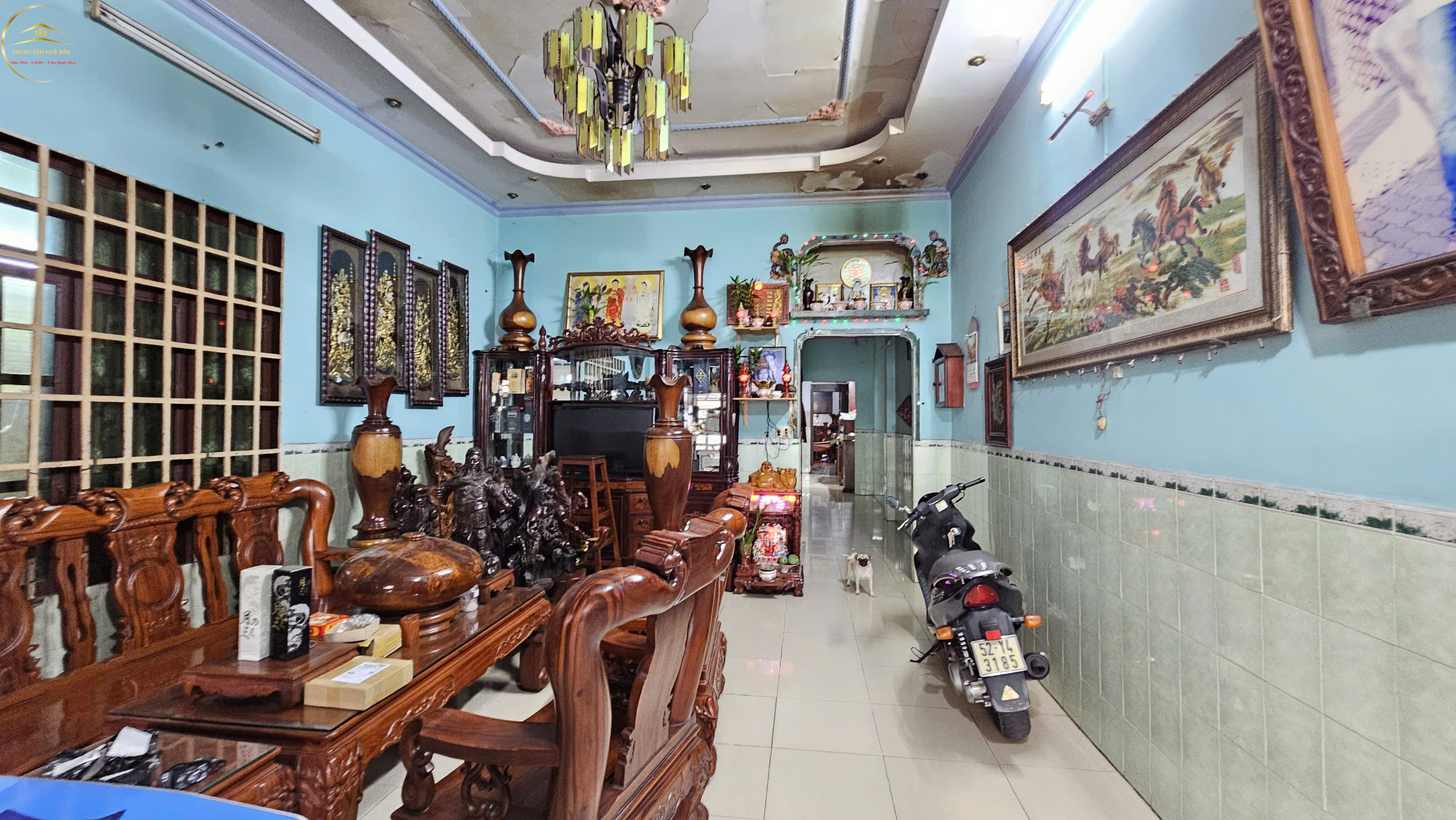 trung chánh, hốc môn (9)